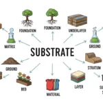Synonyms of Substrate