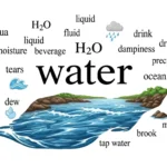 Synonyms of Water