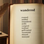 Synonyms of Wandered