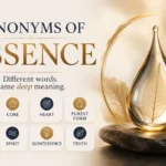 Synonyms of Essence