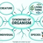 Synonyms of Organism