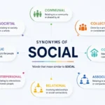 Synonyms of Social