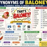 synonyms for baloney